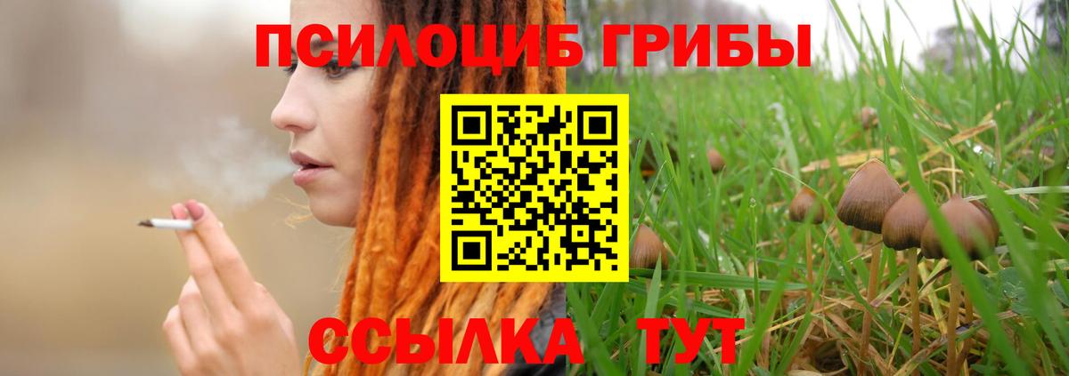 Псилоцибиновые грибы GOLDEN TEACHER  Вход с VPN  Галлюциногенные грибы мухоморы  Камышлов 